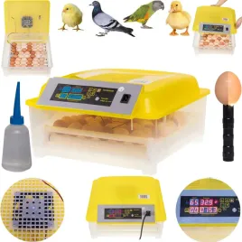 inkubator-klujnik-wylegarka-jaj-wylegu-drobiu-54-j