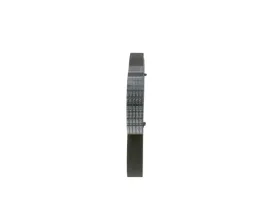 pasek-wieloklinowy-1-987-948-423