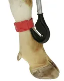 noz-do-bandazy-80-cm-kerbl-waga-z-opakowaniem-0-15-kg-stan-nowy