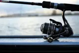 robinson-kolowrotek-robinson-harami-fd-2010-rozmiar-2000