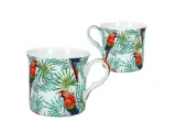 kpl-4-kubkow-tropics-fbch-stan-nowy