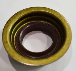 uszczeln-cylindra-polb-i-w-n-zf-ecosplit