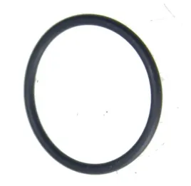 oring-akmulatora-intardera-zf-iveco