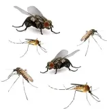 bros-muchospray-250ml-rodzaj-rozpylacz-aerozol