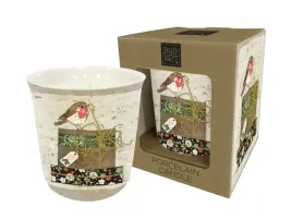 swieca-bug-art-robin