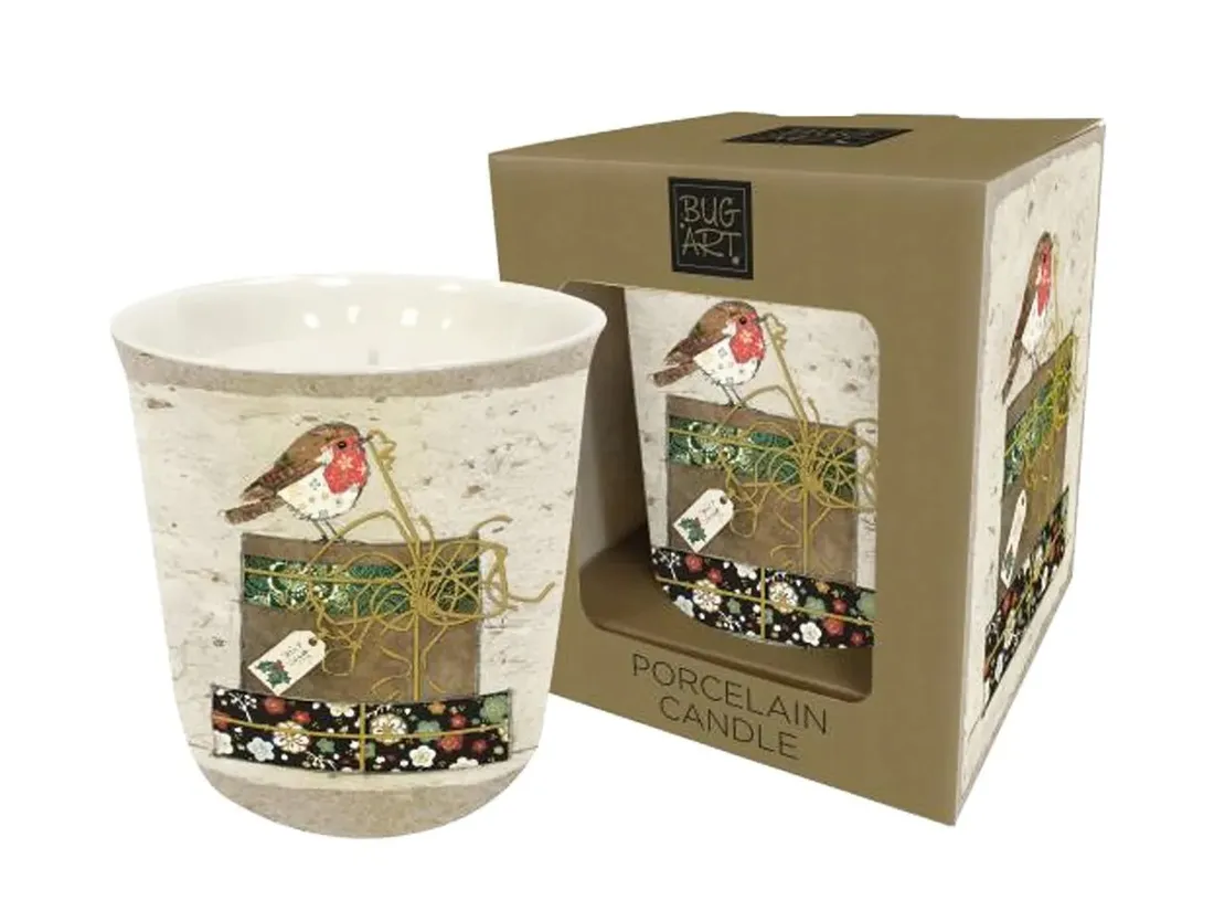 swieca-bug-art-robin