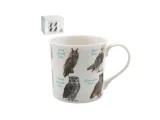 kubek-owls