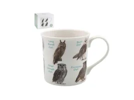 kubek-owls