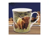 kubek-cow-and-calf