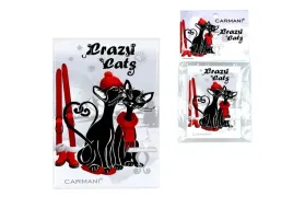 magnes-zimowe-koty-z-nartami-carmani