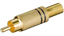 wtyk-chinch-wersja-kolorystyczna-czarny