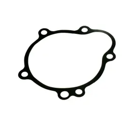 uszczelka-pokrywy-rozrusznika-kawasaki-zx-10r-04-05r