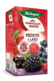 herbata-herbapol-prosto-z-lasu-20t-forma-ekspresowa