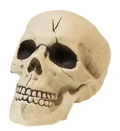 czaszka-szkieleta-z-ruchoma-szczeka-21-cm-halloweenowa-halloween