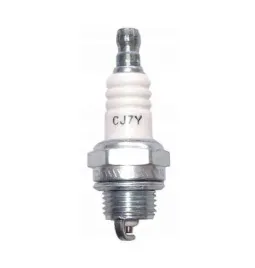 swieca-zapl-cj7y-champion