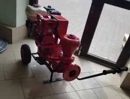 project-psp-250-pompa-szlamowa-przeponowa