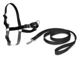 petsafe-uprzaz-dla-psa-easy-walk-s-czarna