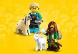 71045-lego-minifigures-seria-25-certyfikaty-opinie-atesty-ce