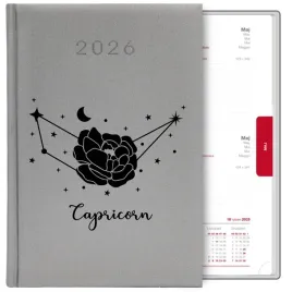 kalendarz-srebrny-a5-2026-prezent-dla-zodiakary-capricon-koziorozec-mix-wz