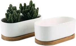 2-x-2x-doniczki-na-sukulenty-ceramiczne-owalne-podstawki-drewno-kwiaty-rosl