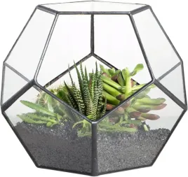 2-x-terrarium-kwietnik-hydroponiczny-wazon-szklany-vintage-duzy-na-rosliny