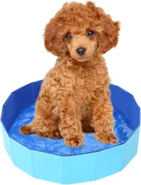 2-x-basen-dla-psa-skladany-przenosny-50x10-brodzik-ogrodowy-do-ochlody-maly