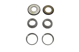 bearing-worx-lozyska-glowki-ramy-z-uszczelniaczami-ktm-sx-xc-125-250-2
