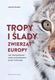tropy-i-slady-zwierzat-europy-jak-interpretowac