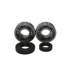 bearing-worx-lozyska-walu-korbowego-ktm-sx-50-02-08-ntn-made-in-japan