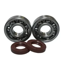 bearing-worx-lozyska-walu-korbowego-ktm-sx-65-98-08-ntn-made-in-japan