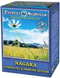 everest-ayurveda-herbatka-nagara-uklad-limfatyczny-i-odpornosc