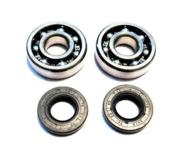 bearing-worx-lozyska-walu-korbowego-sherco-sef-250r-15-18-sef-300r-15-