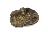 oczko-wodne-do-terrarium-basen-tb-02