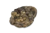 oczko-wodne-do-terrarium-basen-tb-02-stan-nowy
