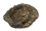 oczko-wodne-do-terrarium-basen-tb-02-marka-bez-marki