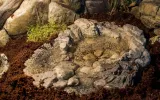 oczko-wodne-do-terrarium-basen-tb-02-nazwa-handlowa-alleterra