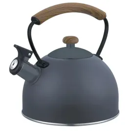 2-x-czajnik-z-gwizdkiem-tradycyjny-indukcja-gaz-szary-mat-solidny-ciezki-2