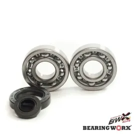 bearing-worx-lozyska-walu-korbowego-honda-cr-250-92-07-ntn-made-in-japan