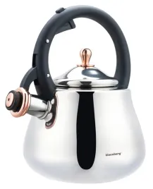 2-x-czajnik-stalowy-2-8-l-gaz-indukcja-srebrny-polysk-klausberg-kb-7776