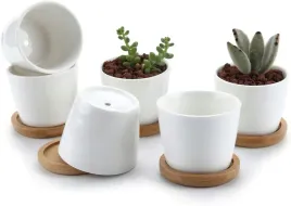 2-x-6x-doniczki-ceramiczne-podstawki-drewniane-6-sztuk-na-sukulenty-okrag