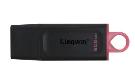 2-x-2-x-kingston-256gb-usb-3-2-gen1-datatraveler-exodia-black-pink