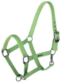 k-kantar-covalliero-2-cob-s-s-2025-zielony