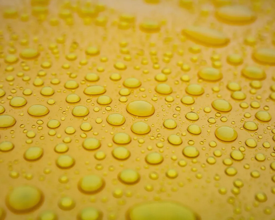 quick-detailer-kudini-1l-trigger