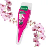 bopon-eliksir-do-storczykow-40ml-disp-36-szt-stan-nowy-waga-0-05-kg
