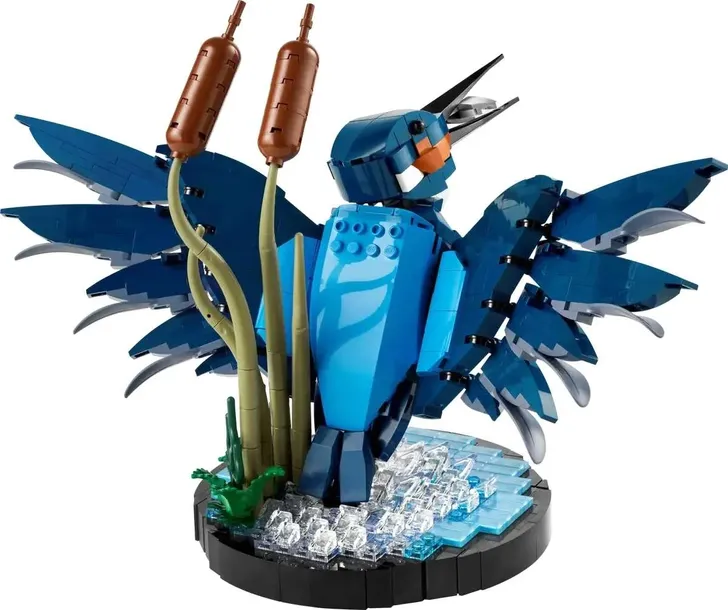 lego-icons-zimorodek-plec-chlopcy