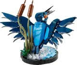 lego-icons-zimorodek-plec-chlopcy