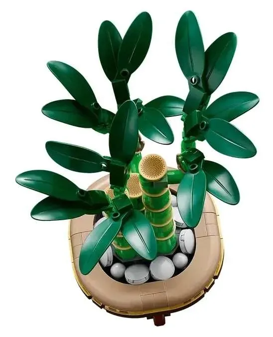 lego-the-botanical-collection-dracena-sandera