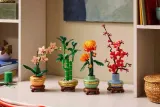 lego-the-botanical-collection-dracena-sandera-numer-produktu-10344