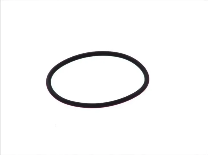 oring-wtryskiwacza-daf-95xfmb-actros-producent-czesci-bosch