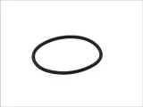 oring-wtryskiwacza-daf-95xfmb-actros-producent-czesci-bosch